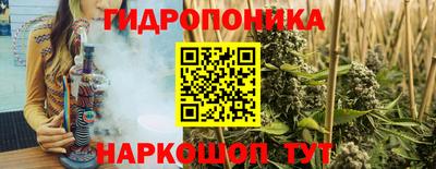 ПСИЛОЦИБИНОВЫЕ ГРИБЫ Заводоуковск