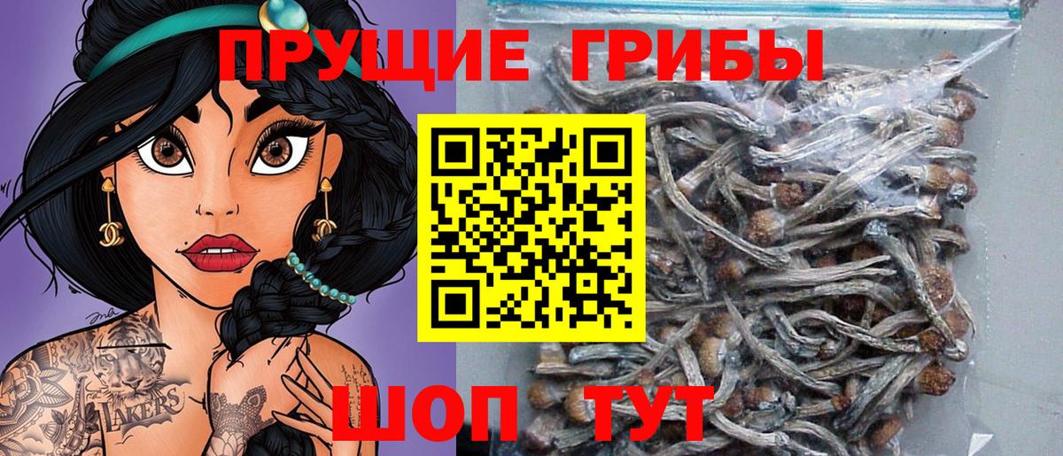 Галлюциногенные грибы мицелий Лабытнанги