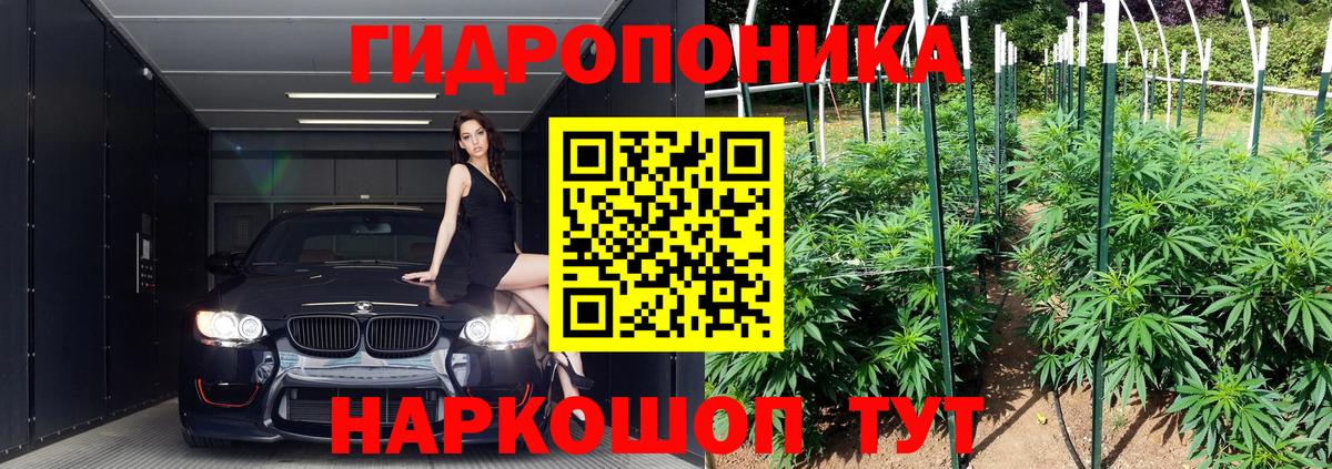 Шишки марихуана план  Шишки марихуана план  Вход с VPN  Марихуана LSD WEED  Лабытнанги 